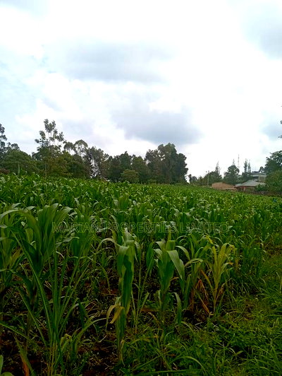 Prime Land for Sale in Shirere-Kakamega - Image 10
