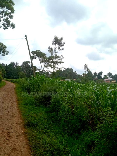 Prime Land for Sale in Shirere-Kakamega - Image 9