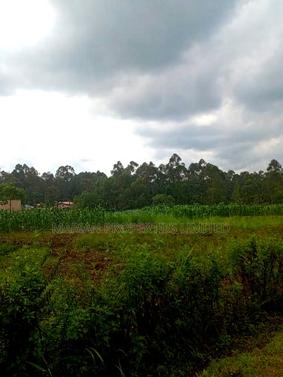 Prime Land for Sale in Shirere-Kakamega - Image 4