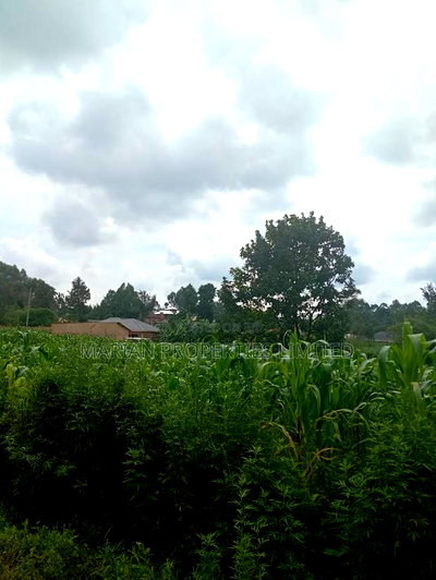 Prime Land for Sale in Shirere-Kakamega - Image 3