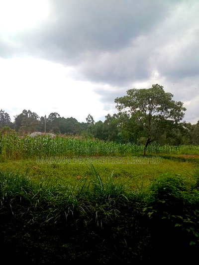 Prime Land for Sale in Shirere-Kakamega - Image 6