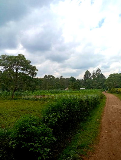 Prime Land for Sale in Shirere-Kakamega - Image 1