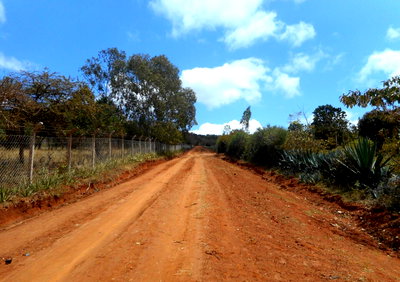9-Acre Garden Plot in Mua Hills