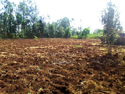 4bdrm Bungalow in Kerugoya for sale - Image 5