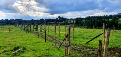 Murungaru River Frontge Farm With Borehole - Image 7