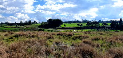 Murungaru River Frontge Farm With Borehole - Image 6