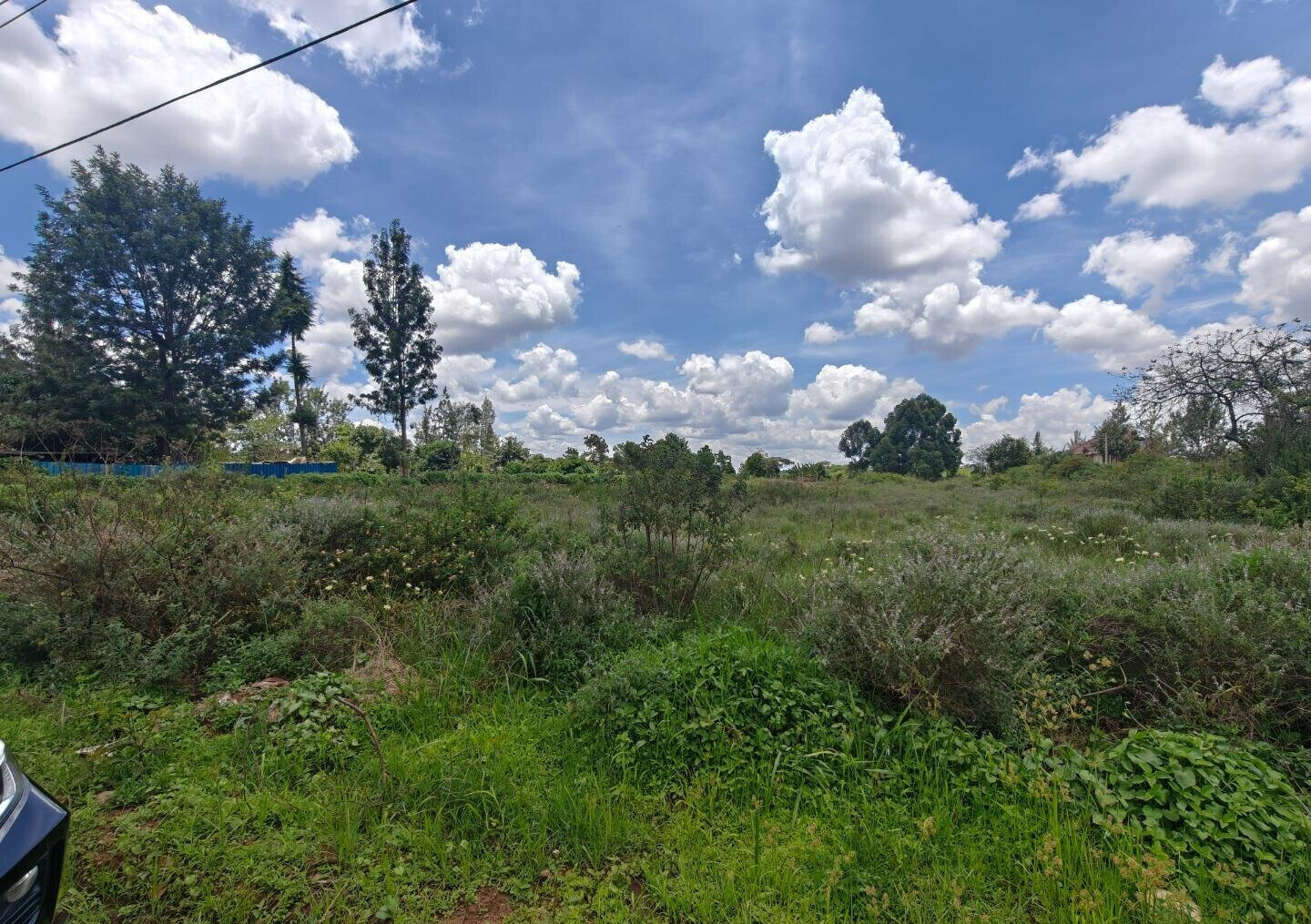 Half Acre Garden Plot in Kiambu CBD