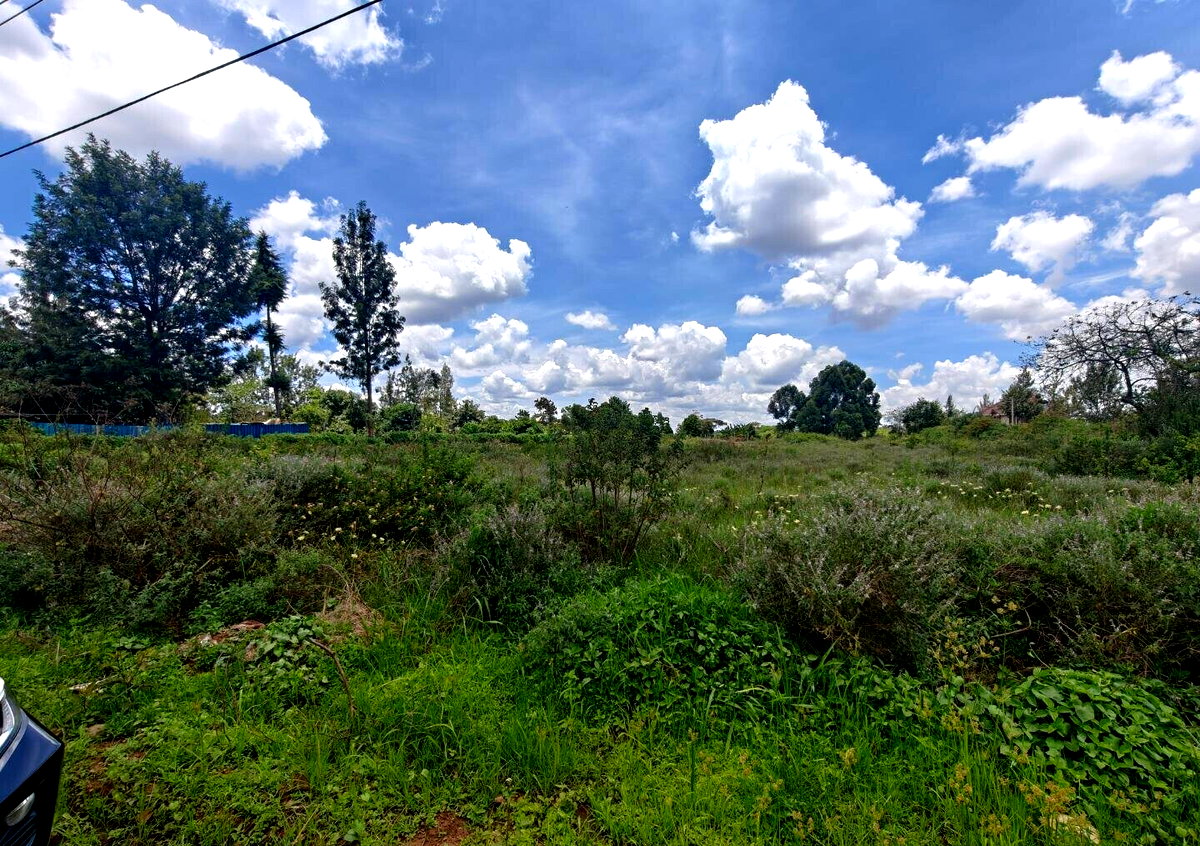 Half Acre Garden Plot in Kiambu CBD