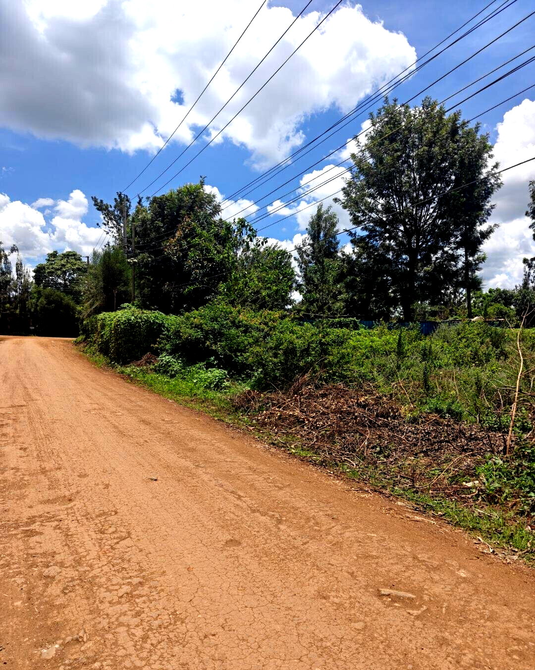 Half Acre Garden Plot in Kiambu CBD