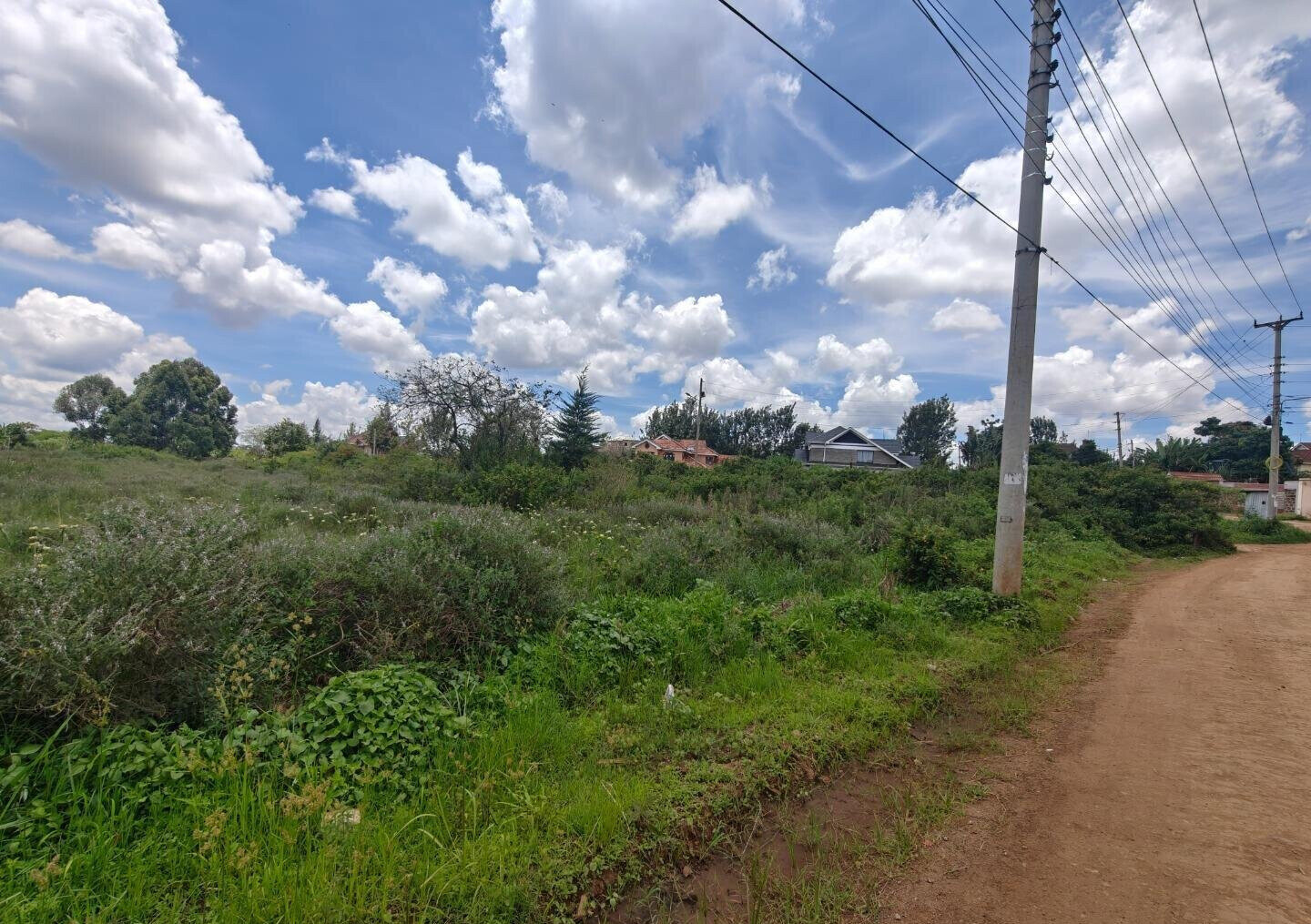 Half Acre Garden Plot in Kiambu CBD