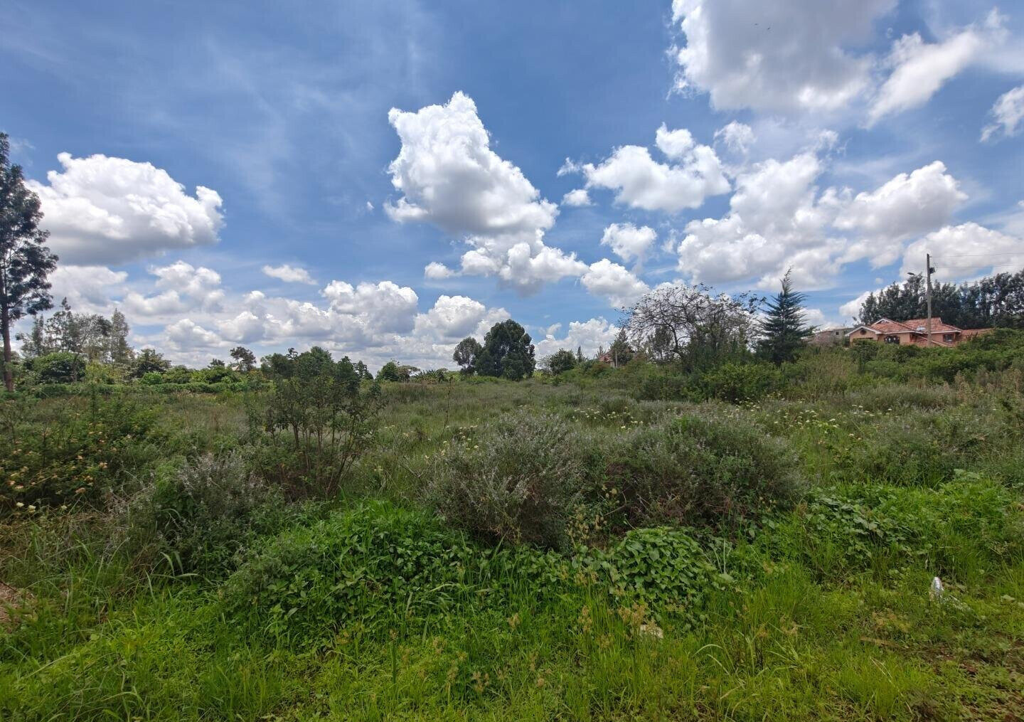 Half Acre Garden Plot in Kiambu CBD