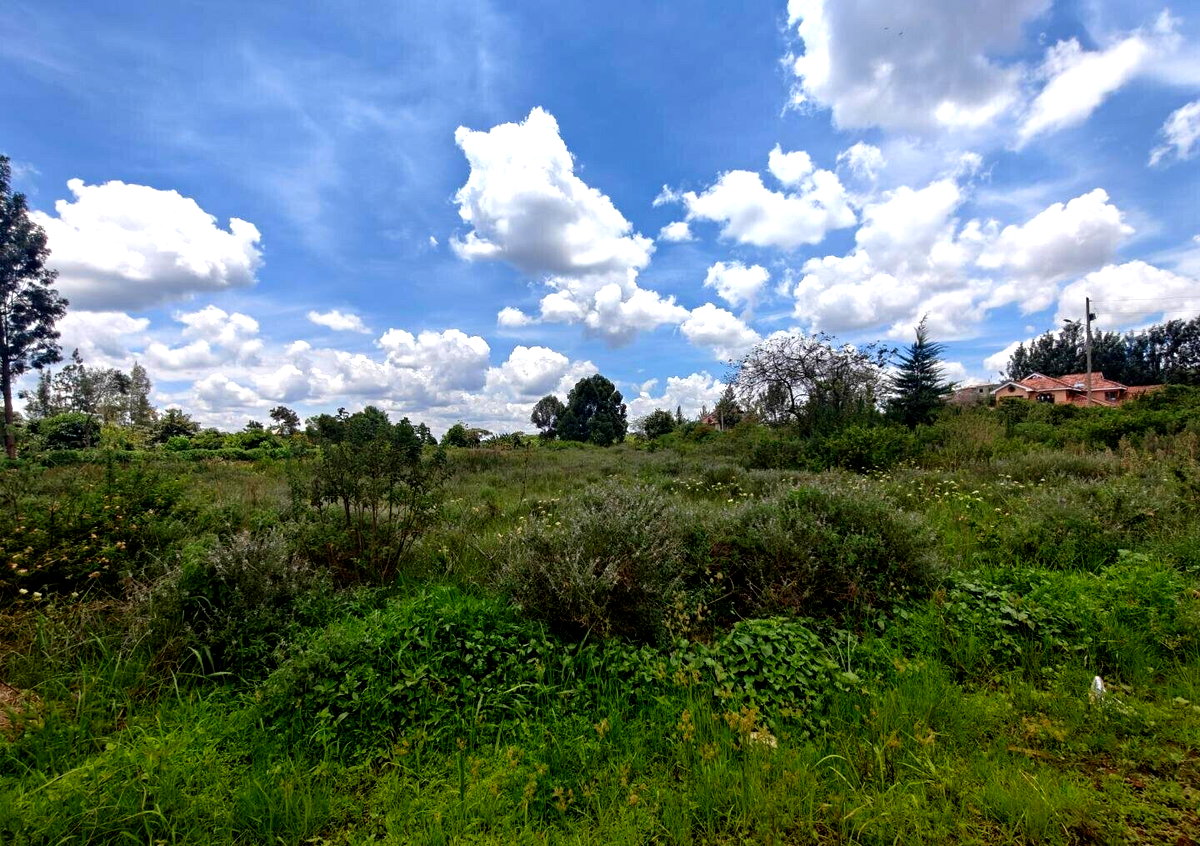 Half Acre Garden Plot in Kiambu CBD