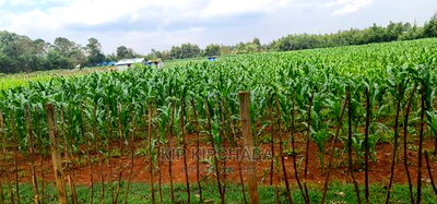 1/4 Plots for Sale Lemook Kapseret in Eldoret - Image 3