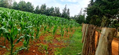 1/4 Plots for Sale Lemook Kapseret in Eldoret - Image 8
