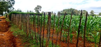 1/4 Plots for Sale Lemook Kapseret in Eldoret - Image 7