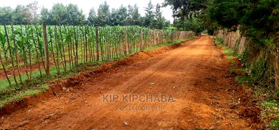 1/4 Plots for Sale Lemook Kapseret in Eldoret - Image 4