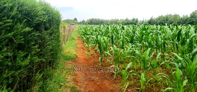 1/4 Plots for Sale Lemook Kapseret in Eldoret - Image 1