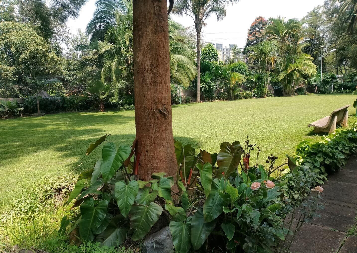 50x100 Plot 4BR Home in Runda