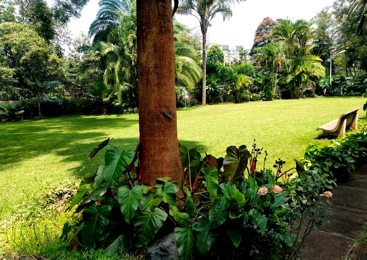50x100 Plot 4BR Home in Runda