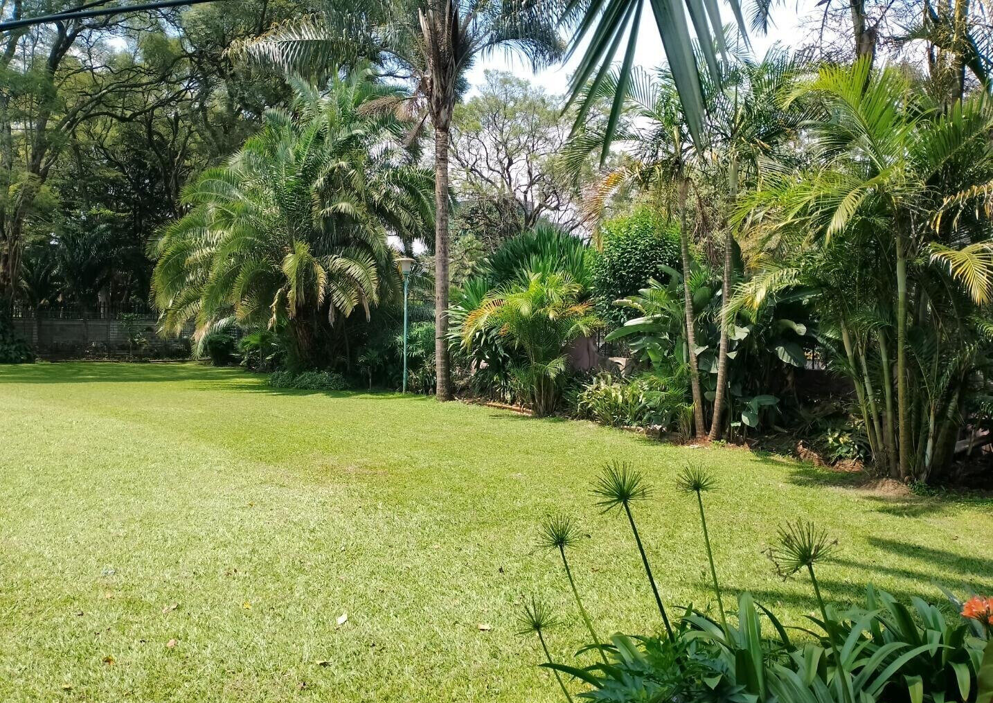 50x100 Plot 4BR Home in Runda