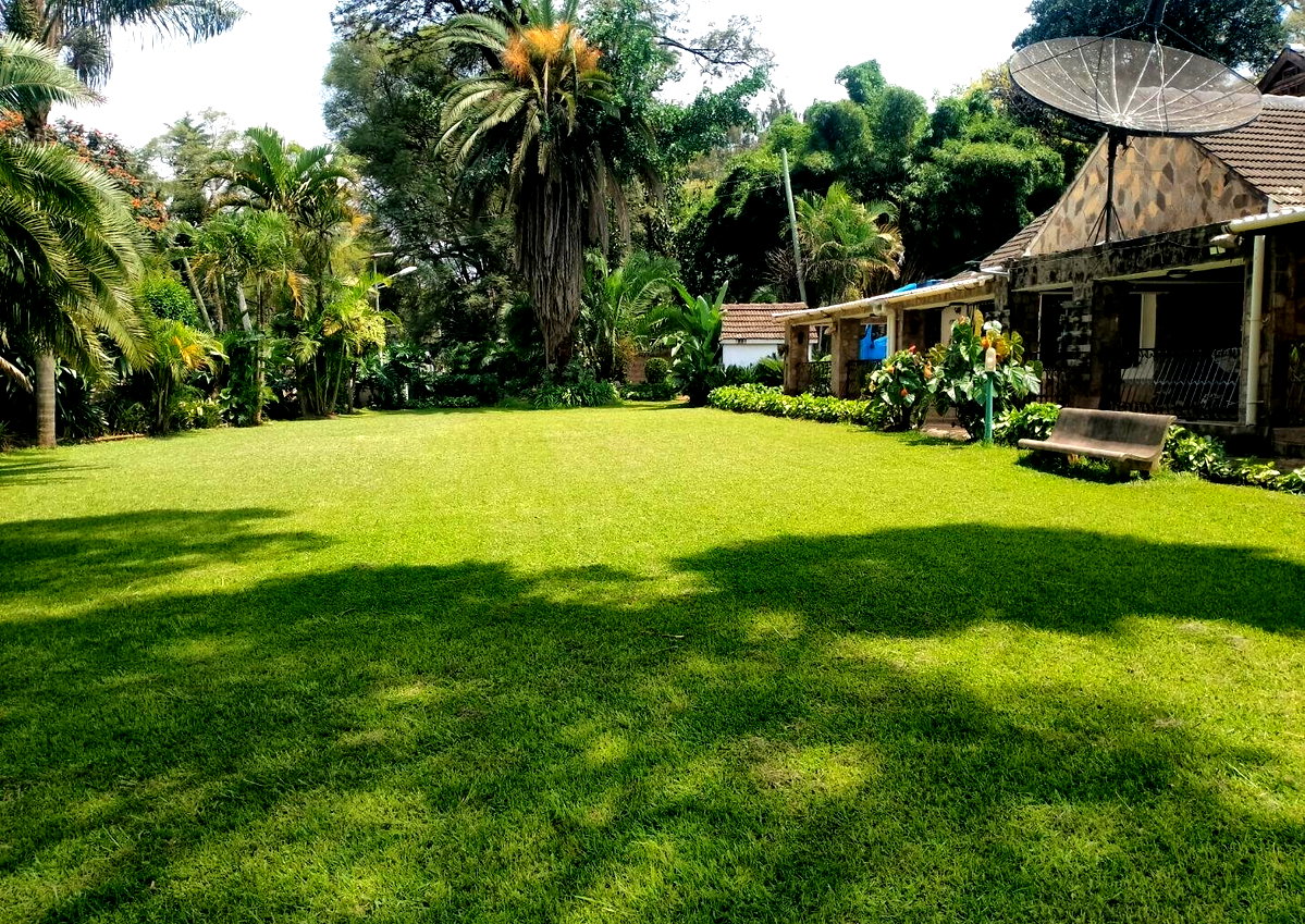 50x100 Plot 4BR Home in Runda