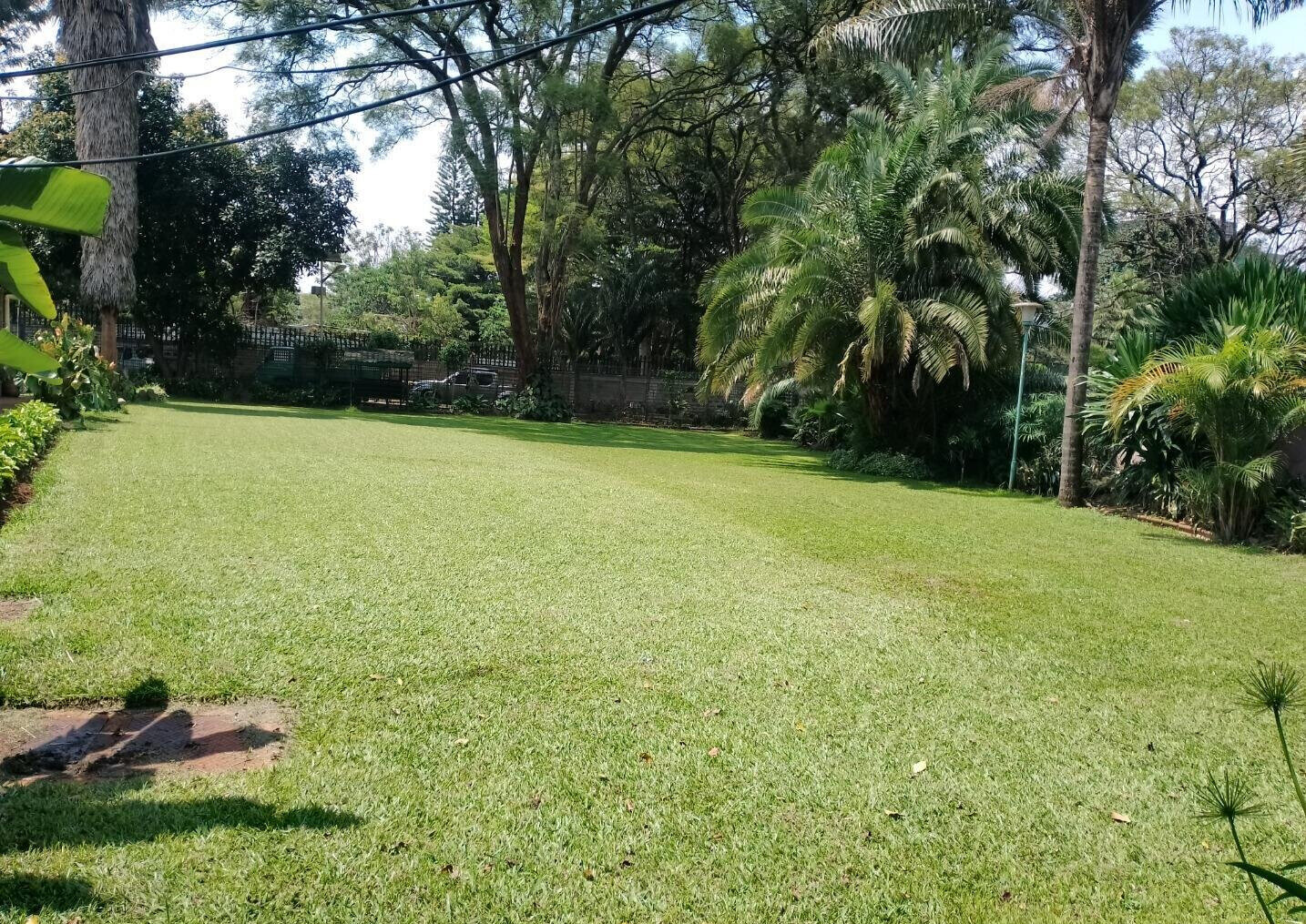 50x100 Plot 4BR Home in Runda