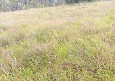2-Acre Plot with Garden and Parking - KSh 1.3M