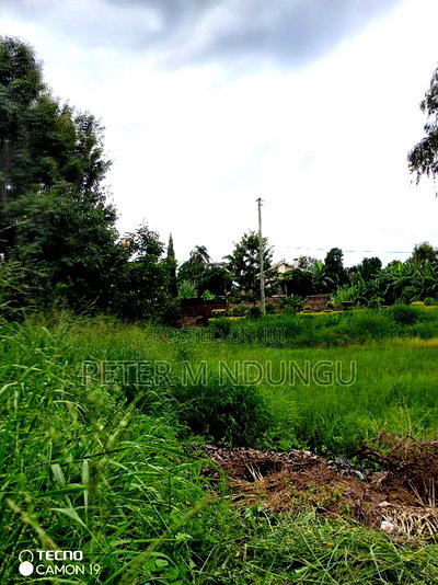 Prime Quarter Plot on Sale, Baringo Road, Kahawa Sukari - Image 6