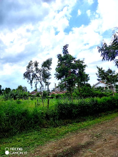 Prime Quarter Plot on Sale, Baringo Road, Kahawa Sukari - Image 8