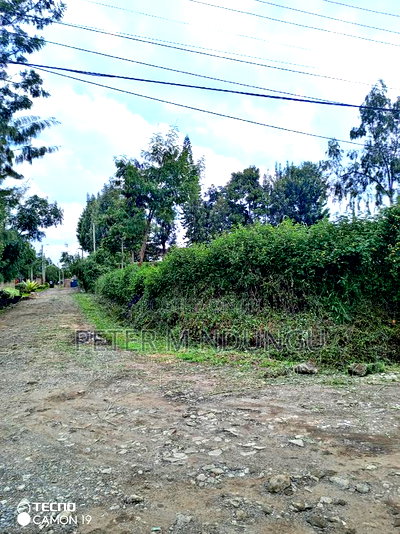 Prime Quarter Plot on Sale, Baringo Road, Kahawa Sukari - Image 4