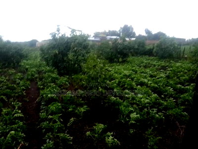Virgin Fenced 10 Acres in Bahati Ideal 4 Avocado Farming - Image 3
