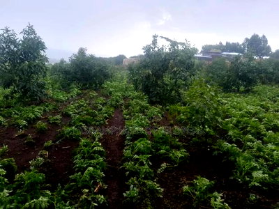 Virgin Fenced 10 Acres in Bahati Ideal 4 Avocado Farming - Image 1