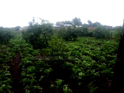 Virgin Fenced 10 Acres in Bahati Ideal 4 Avocado Farming - Image 2