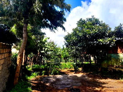 Plots for Sale in Kikuyu Waiyaki Way - Image 6