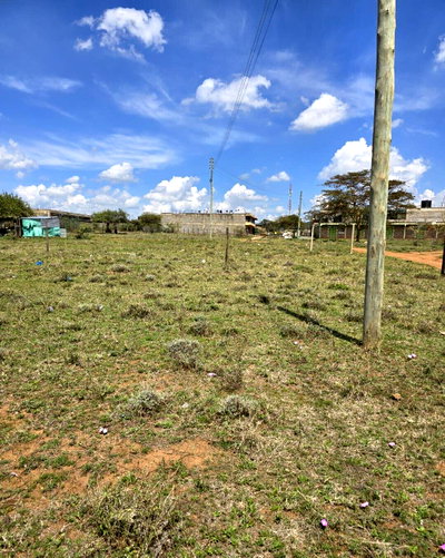 50x100 Pet Friendly Plot in Ngong