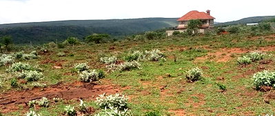 50x100 Plot in Matasia, KSh 850K
