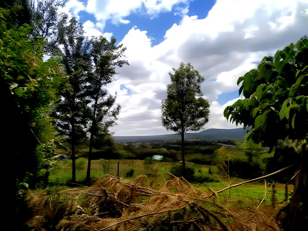 Residential 8th-Acre Red Soil Plot in Ngong Matasia Oloika