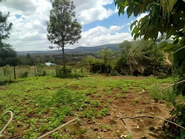 Residential 8th-Acre Red Soil Plot in Ngong Matasia Oloika