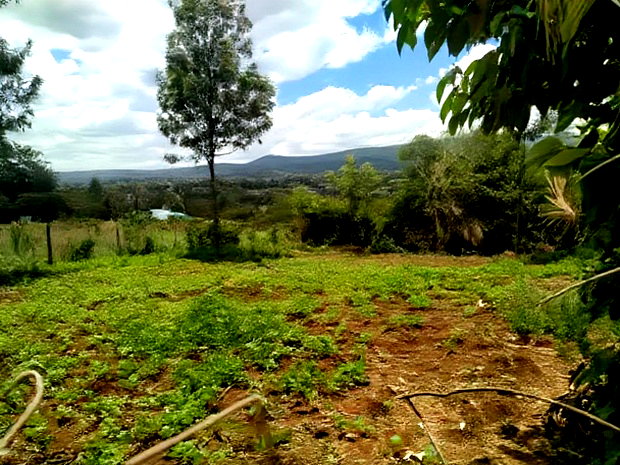 Residential 8th-Acre Red Soil Plot in Ngong Matasia Oloika