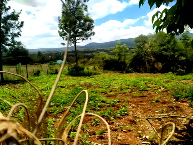 Residential 8th-Acre Red Soil Plot in Ngong Matasia Oloika