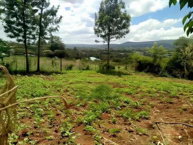 Residential 8th-Acre Red Soil Plot in Ngong Matasia Oloika