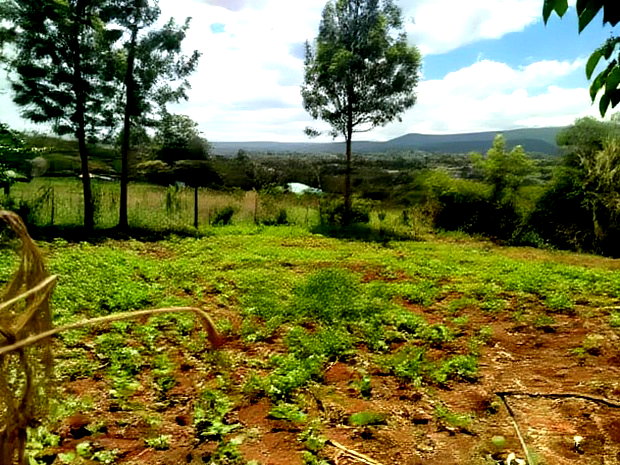 Residential 8th-Acre Red Soil Plot in Ngong Matasia Oloika