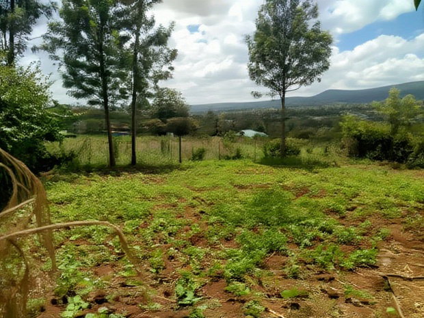 Residential 8th-Acre Red Soil Plot in Ngong Matasia Oloika