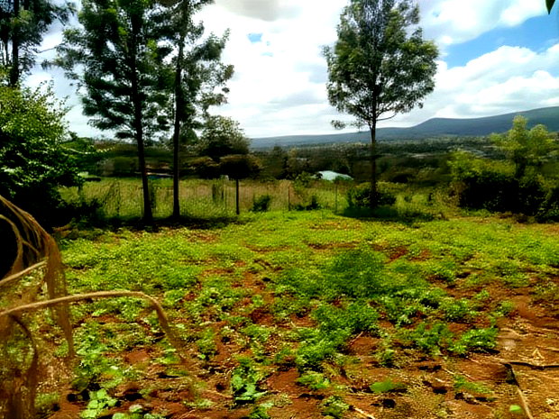 Residential 8th-Acre Red Soil Plot in Ngong Matasia Oloika