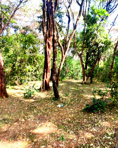 KSh 50M Garden Plot with Parking
