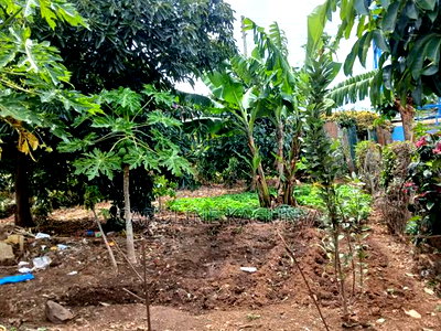 Plot for Sale - Image 3