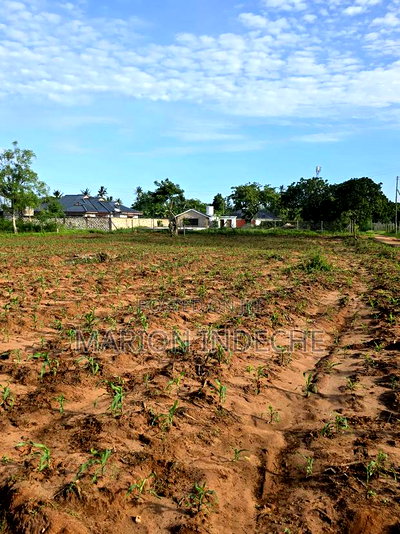 Prime 1/8th Acre Beachside Plots for Sale - Image 4