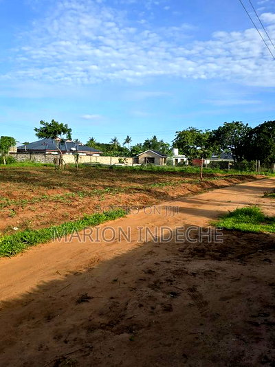 Prime 1/8th Acre Beachside Plots for Sale - Image 1