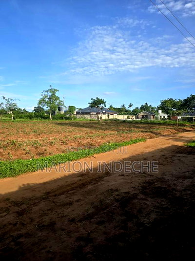 Prime 1/8th Acre Beachside Plots for Sale - Image 7
