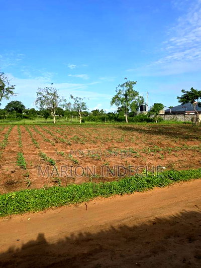 Prime 1/8th Acre Beachside Plots for Sale - Image 2